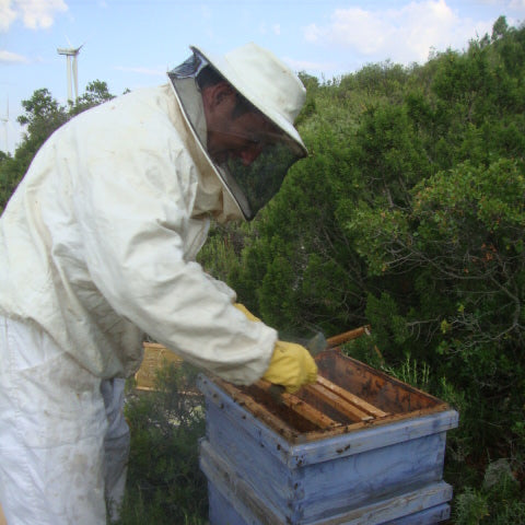 La Colmena como sistema económico natural