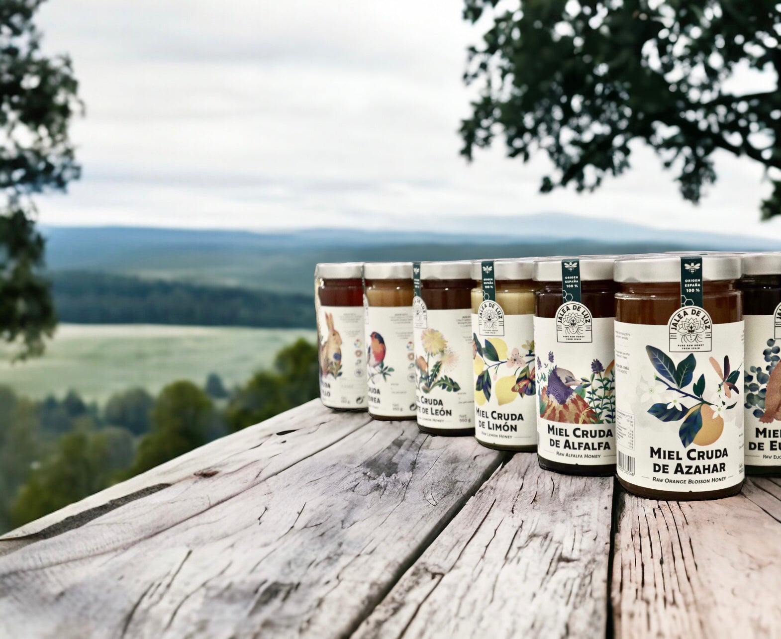 Familia miel cruda Jalea de Luz